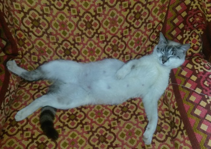 20160529_083654.jpg