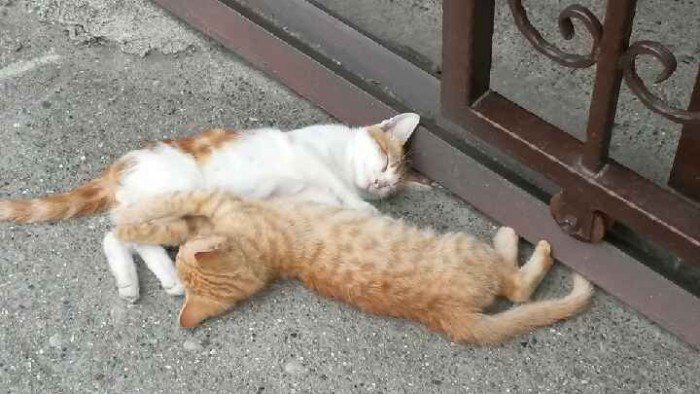20160620_181554.jpeg