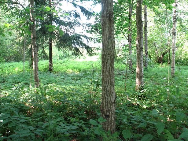 06.JPG