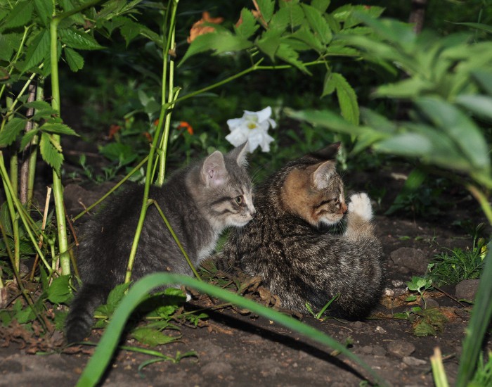 DSC_3045.JPG
