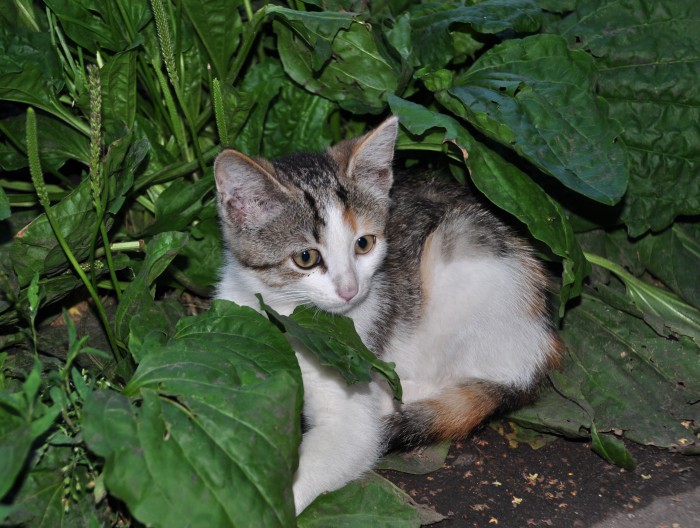 DSC_2757.JPG