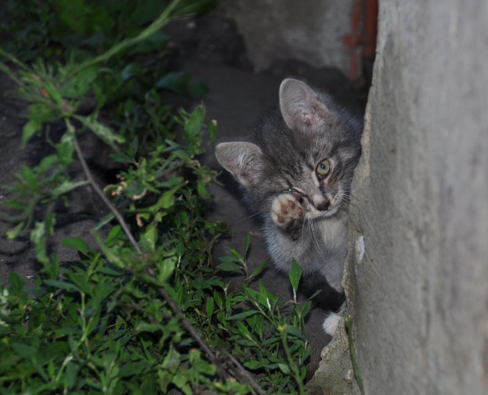 DSC_2752.JPG