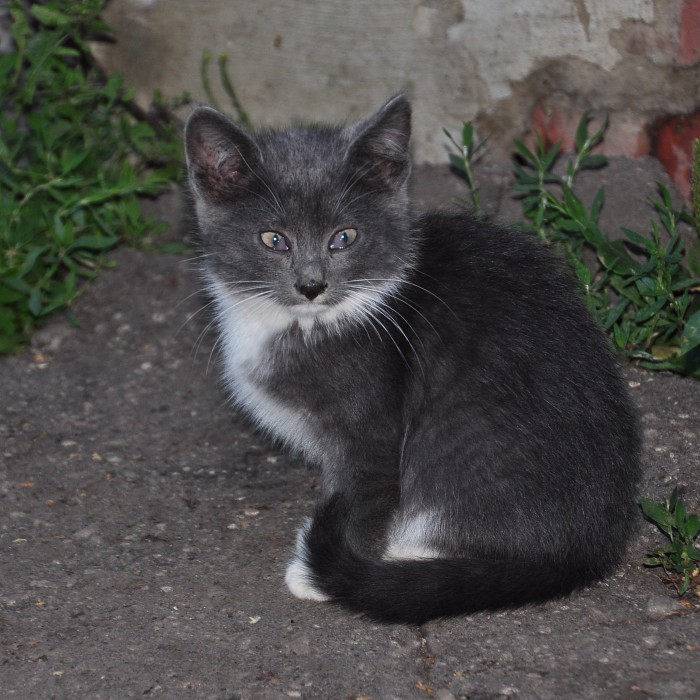 DSC_2729а.jpg