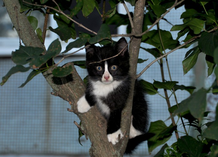 DSC_2720а.jpg