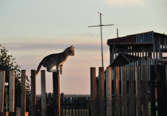 DSC_3574.JPG