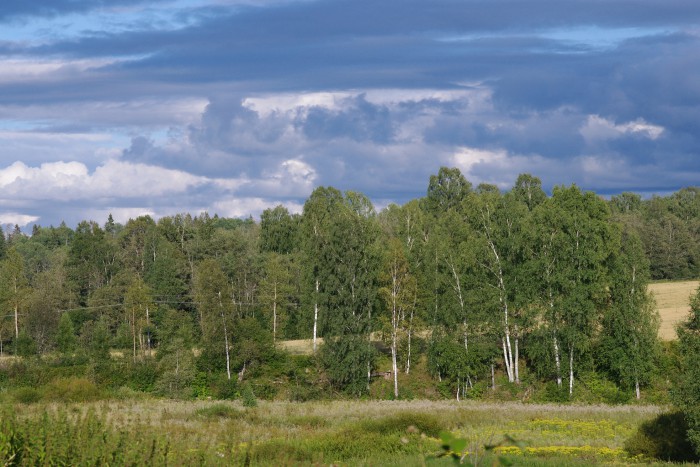 IMGP5821.JPG