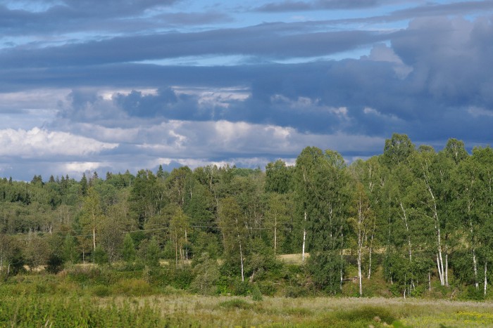 IMGP5827.JPG