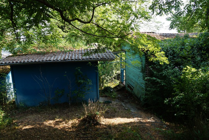 DSC05075.JPG