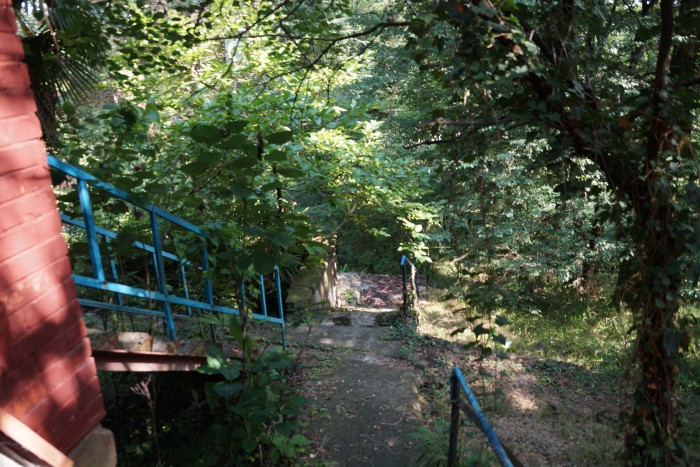 DSC05089.JPG