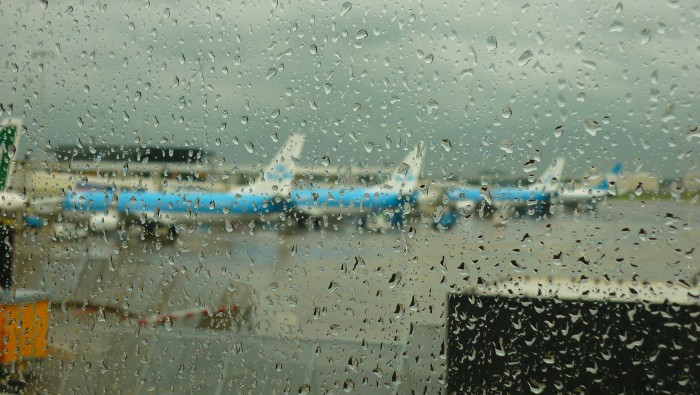 P1020954.JPG
