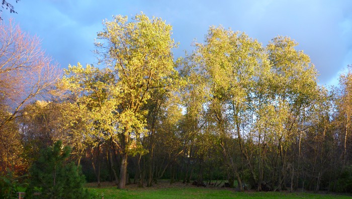 P1050116.JPG