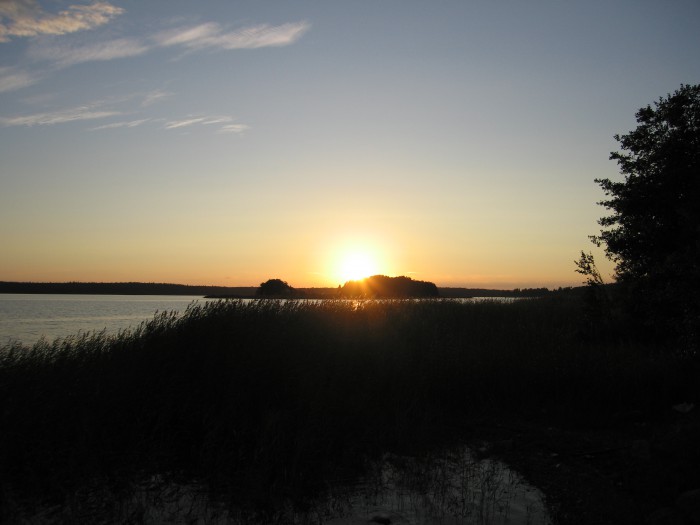 IMG_4333.jpg