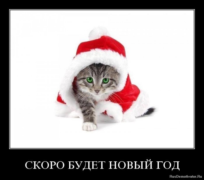 1262254891_r87scjpnonzc.jpg