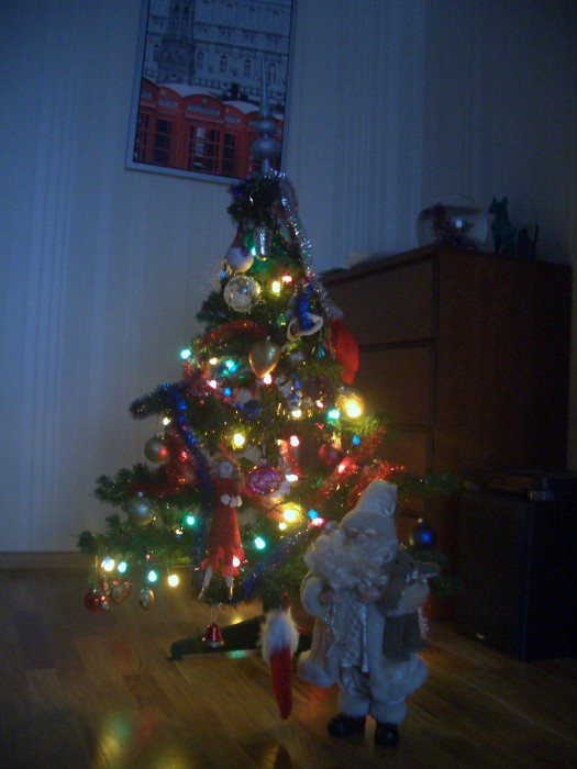 CIMG0011.JPG