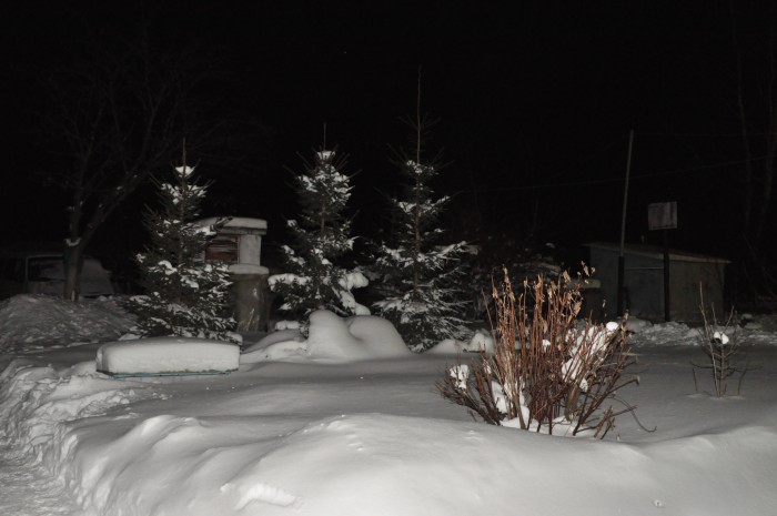 DSC_5996.JPG