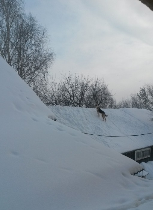 20170118_125839.jpg