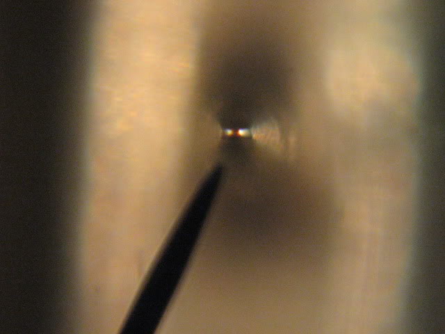 StylusMicroscope009.jpg