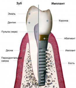 06.JPG