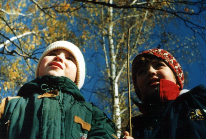 Image-16_1.jpg