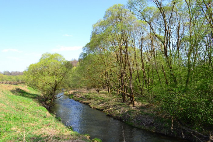 09.jpg