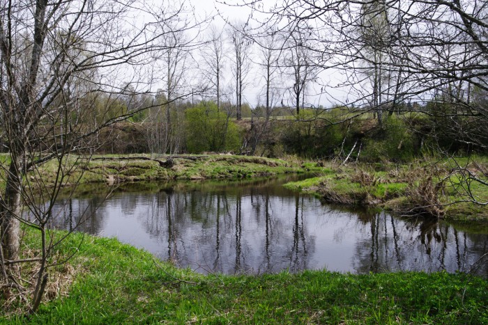 IMGP0076.JPG
