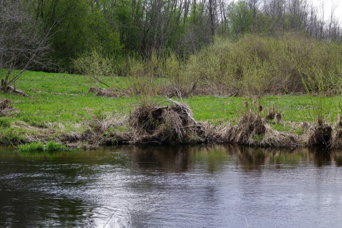IMGP0090.JPG