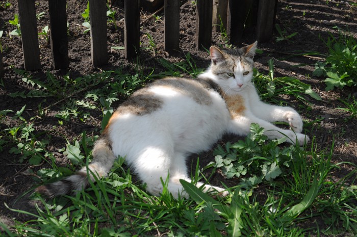 DSC_7179.JPG