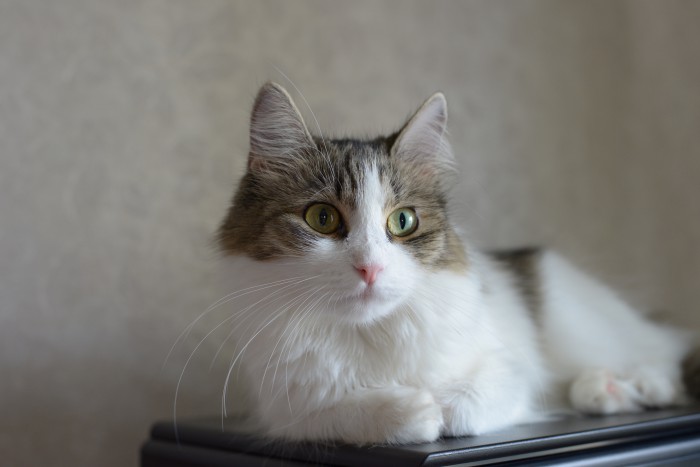 DSC_2848.JPG