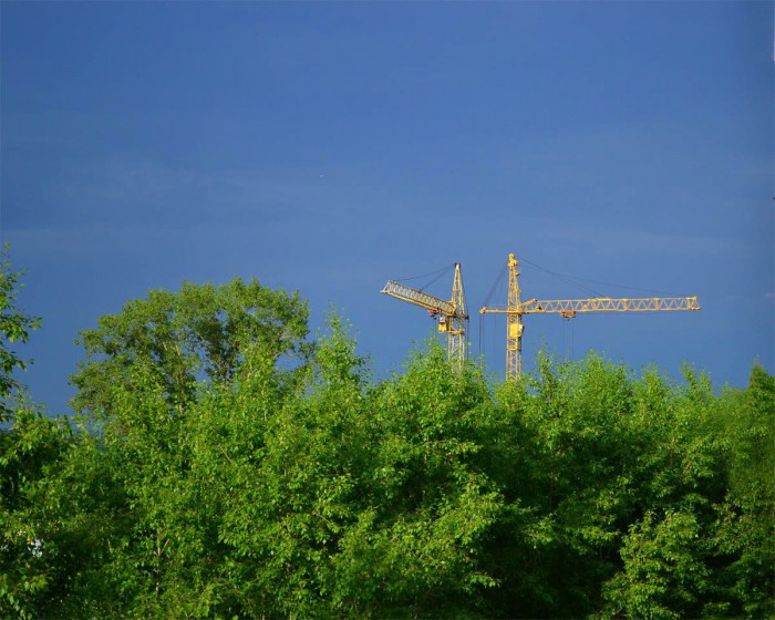 05.JPG