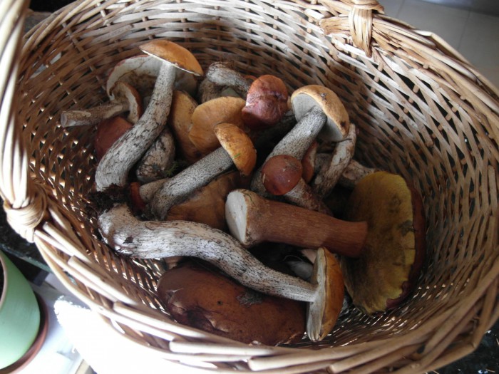 5.JPG