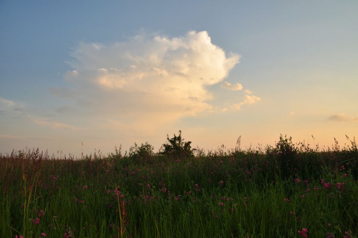 DSC_2292.JPG