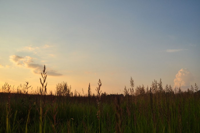 DSC_2287.JPG