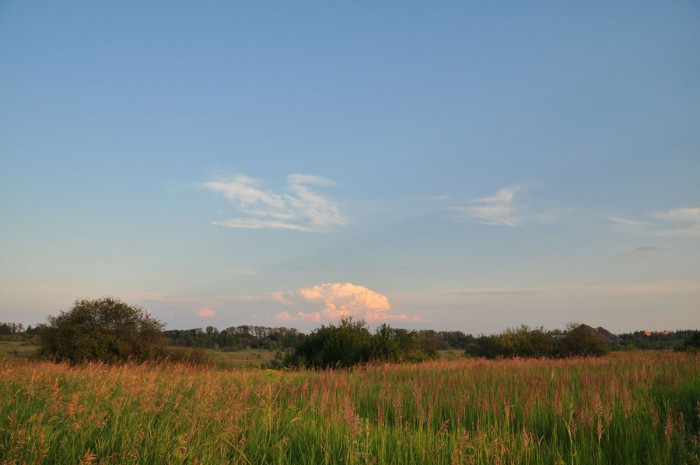 DSC_2284.JPG
