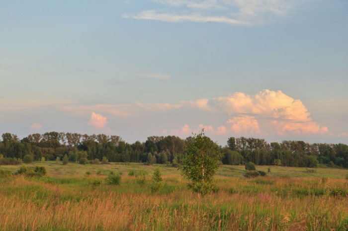 DSC_2280.JPG
