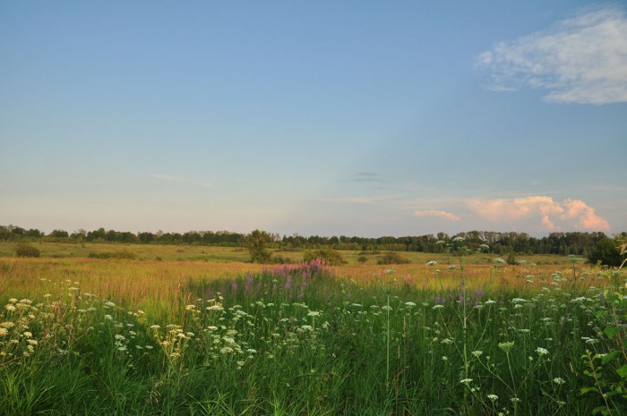 DSC_2262.JPG