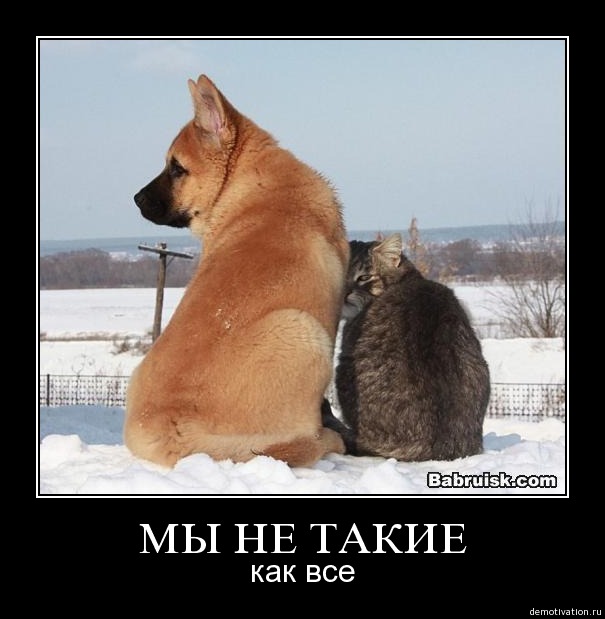 bw224h1n9t03.jpg