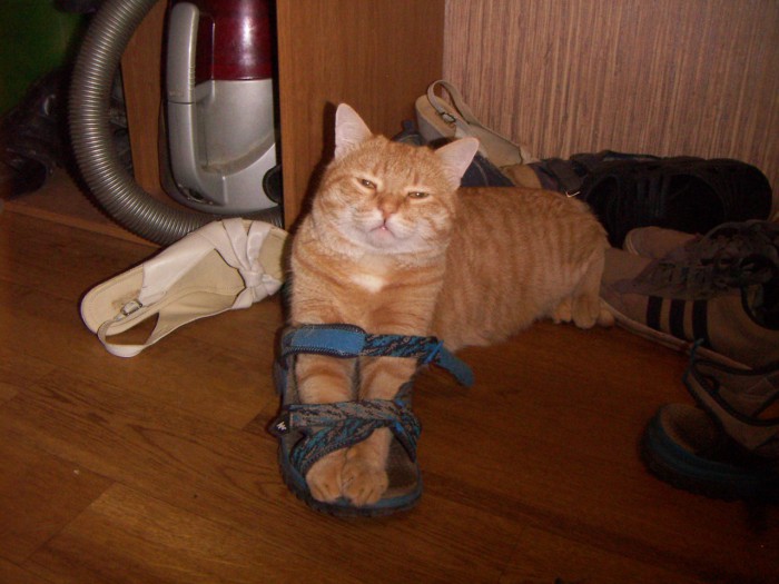PICT0309.JPG