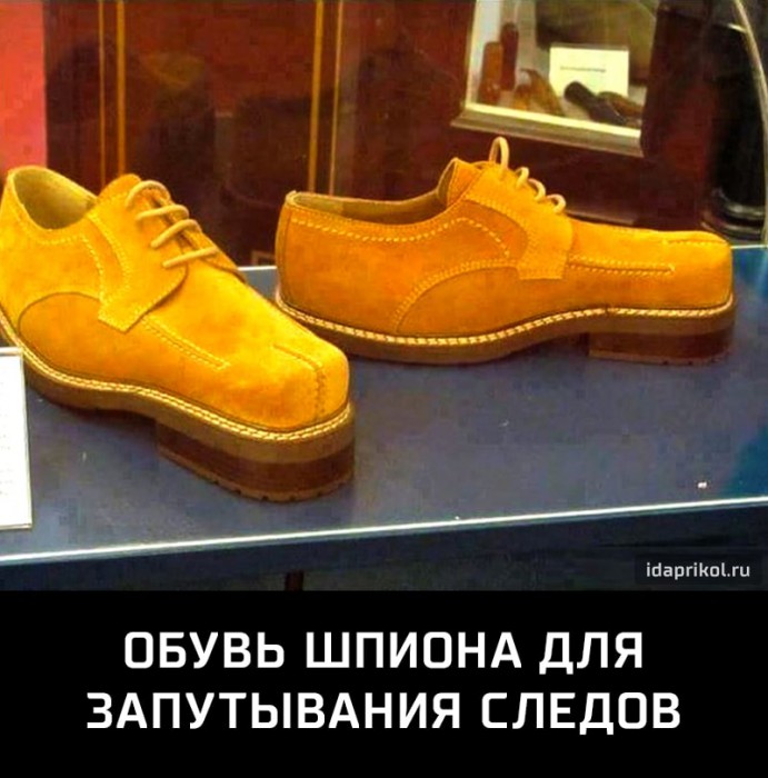457c904fc1e9f2143b6f5c9ec999ea08ff73fbbca7d6849a98aee233f2c66bd7_1.jpg