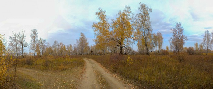дорога.jpg
