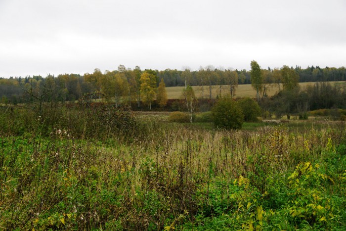 IMGP6602.JPG