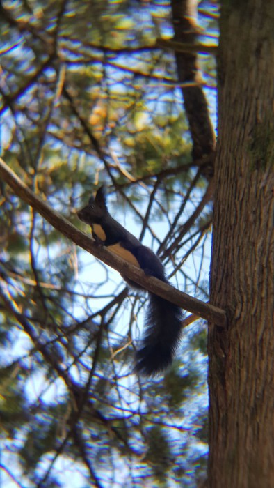 20161003_142454.jpg