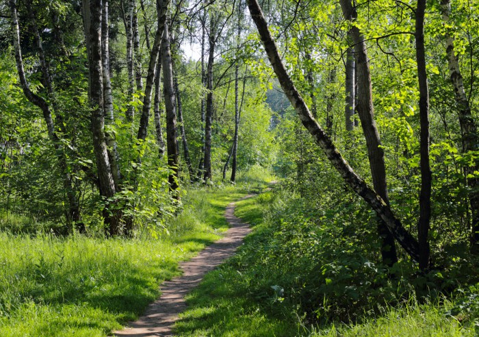Днем-в-парке-1.jpg