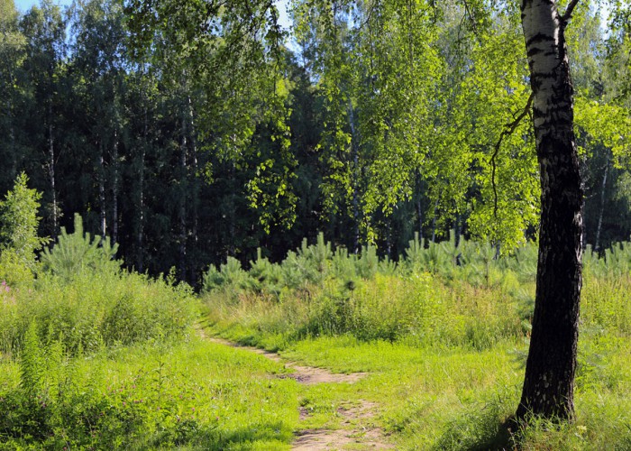 В-парке-3-1.jpg