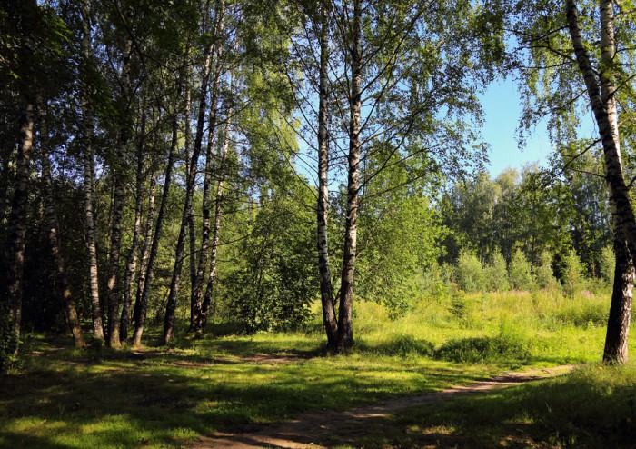 В-парке-2-1.jpg