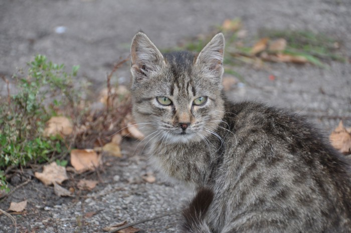 DSC_5034.JPG