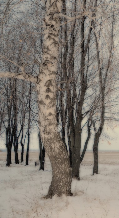DSC_5457а.jpg