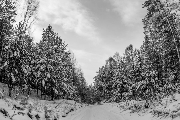 IMG_9608.jpg