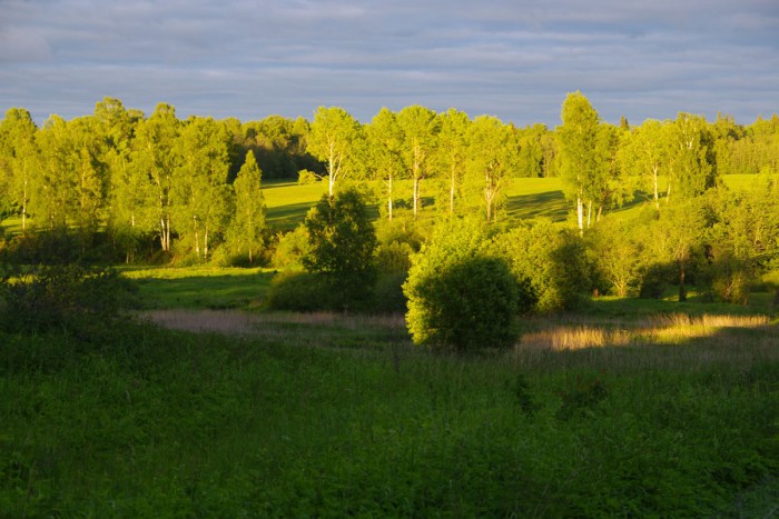 56.jpg