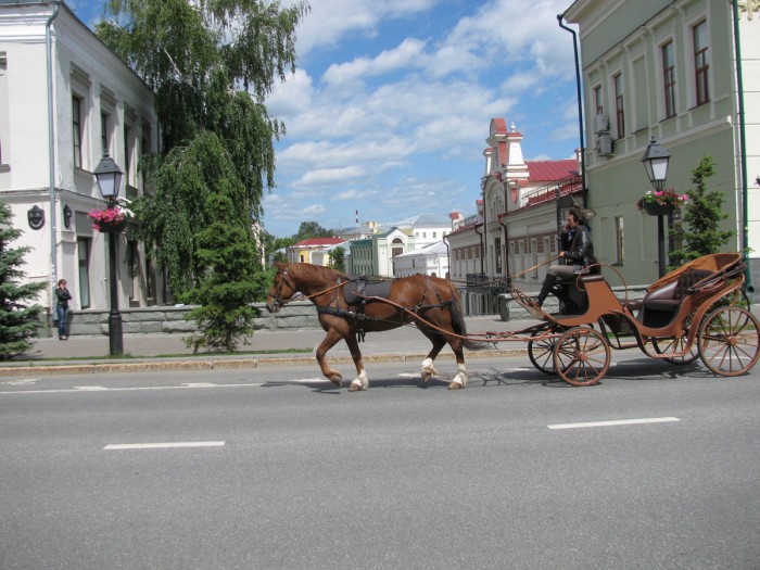 IMG_0345.JPG