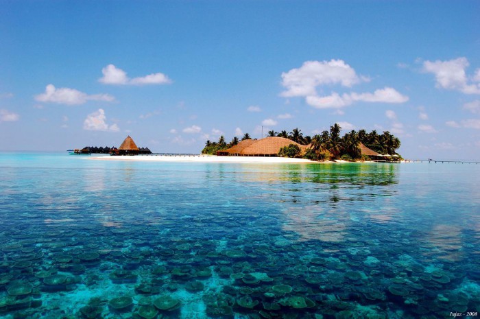 Maldives-maldives-27942872-1280-851.jpg